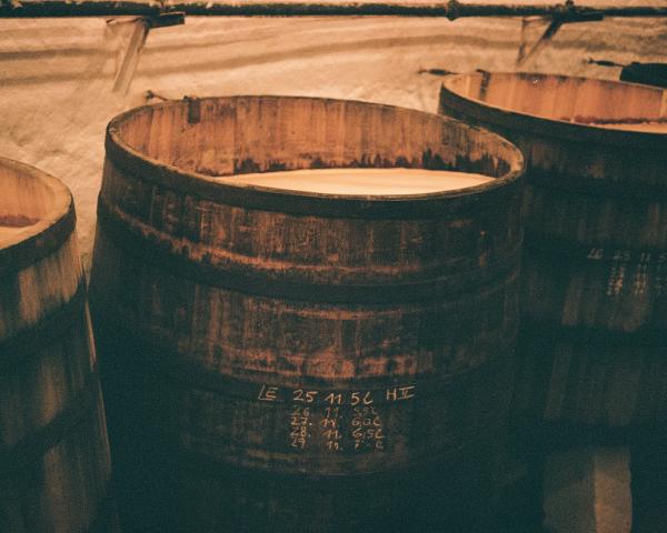 Zurich -> Lucerne -> Prague -> Salzburg -> Munich in November-December 2025.